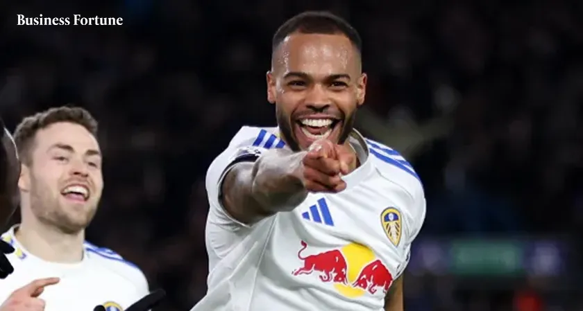  Business Fortune: Leeds vs Sunderland 1-0 Win Report 
