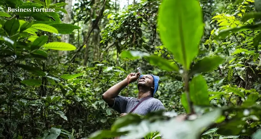  Green Wall Initiative $4M Africa Boost - Business Fortune 