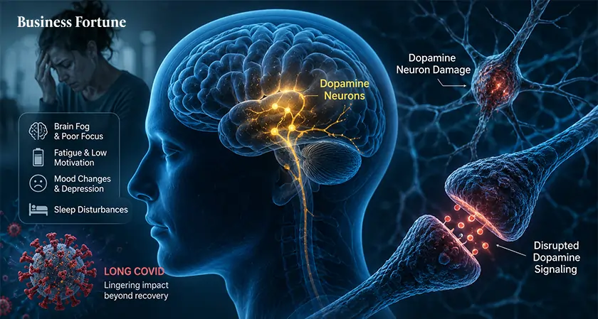  Long COVID dopamine neurons: Brain Crisis - Business Fortune 