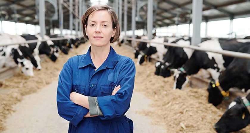 Breaking down dairy data silos: Why easy access to farm data matters