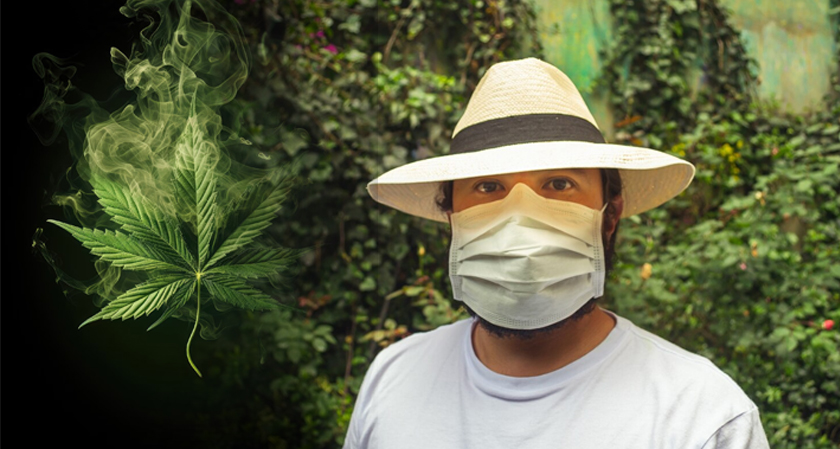 Cannabis Workers Asthma Risk