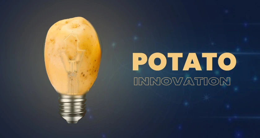 Kenya Takes a Leap Forward in Agriculture with GMO Potato Innovation