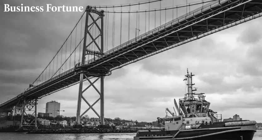 VEM Tech Torpedo Deal With Navy