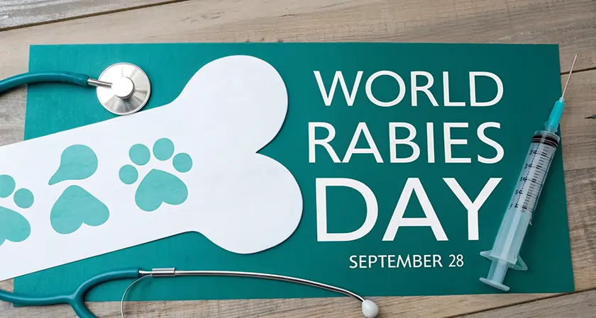 Business Fortune: Mysuru's Weeklong Anti-Rabies Drive