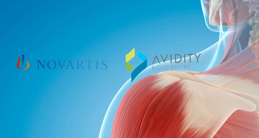 Business Fortune Novartis $12B Avidity Muscle Disorder Buy
