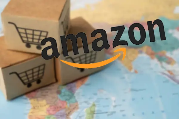 Business Fortune: Amazon Seeks FDI Rule Easing
