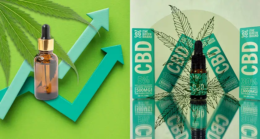 CBD-Infused Products Market to Hit $291B in Next 10 Years