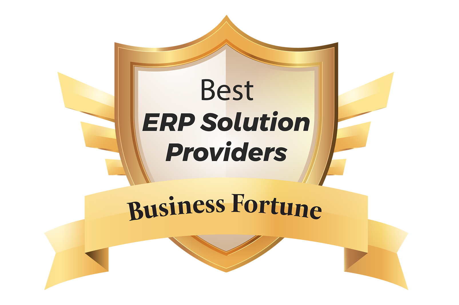 Best ERP Solution Providers
