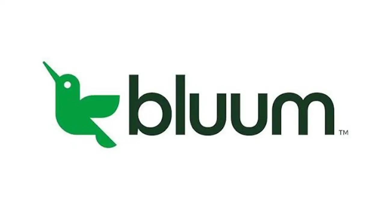 business-fortune-bluum_compressed.webp