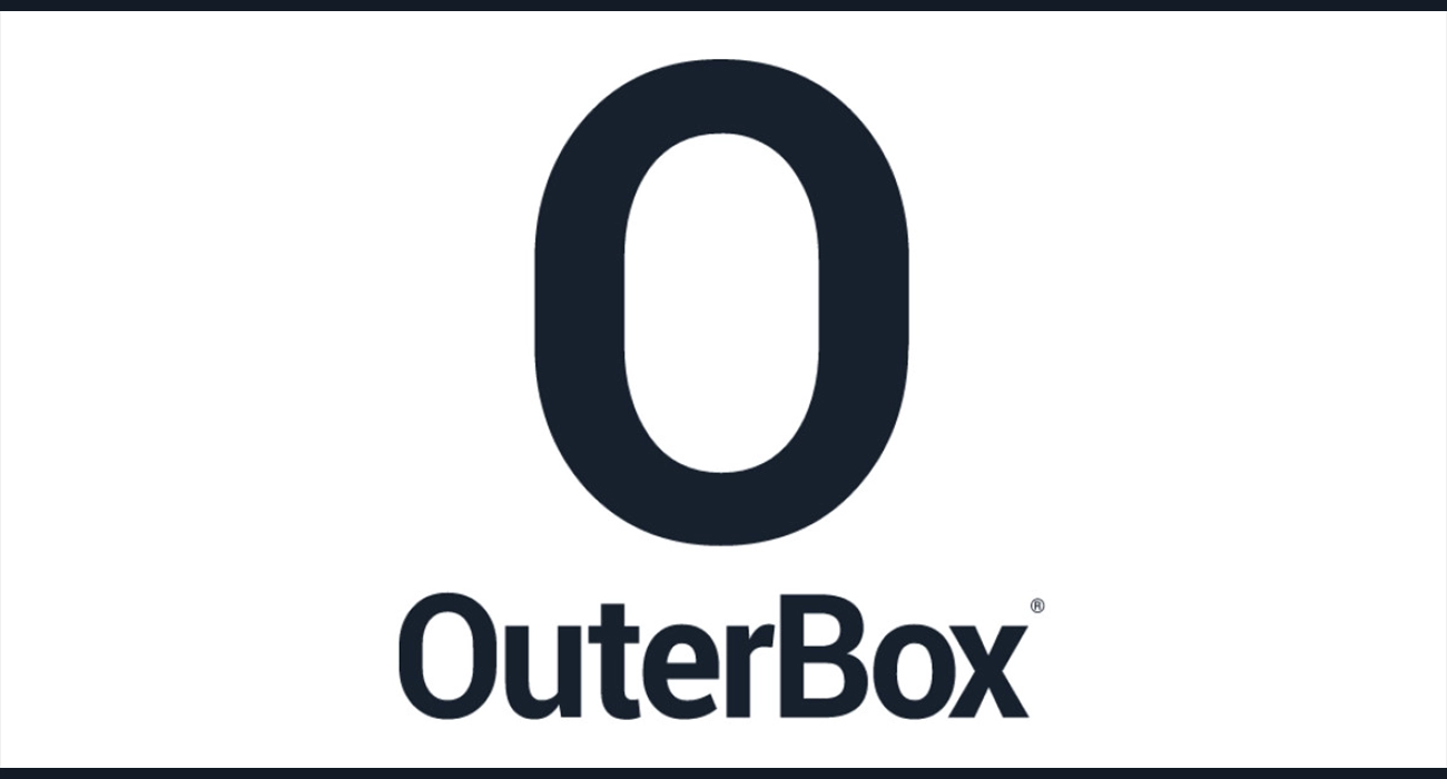 business-fortune-outerbox.webp